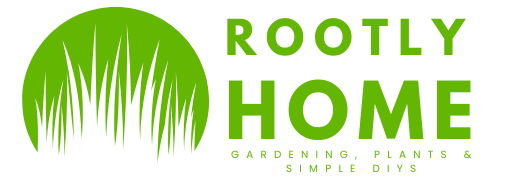Rootly Home