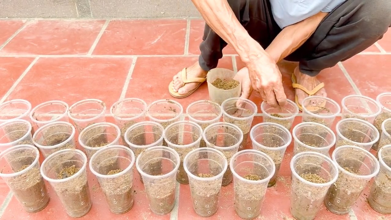 Easy vegetable gardening