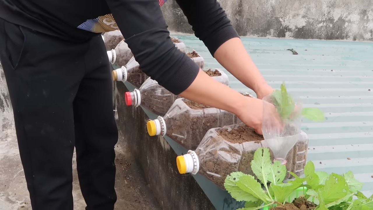 Easy vegetable gardening hacks