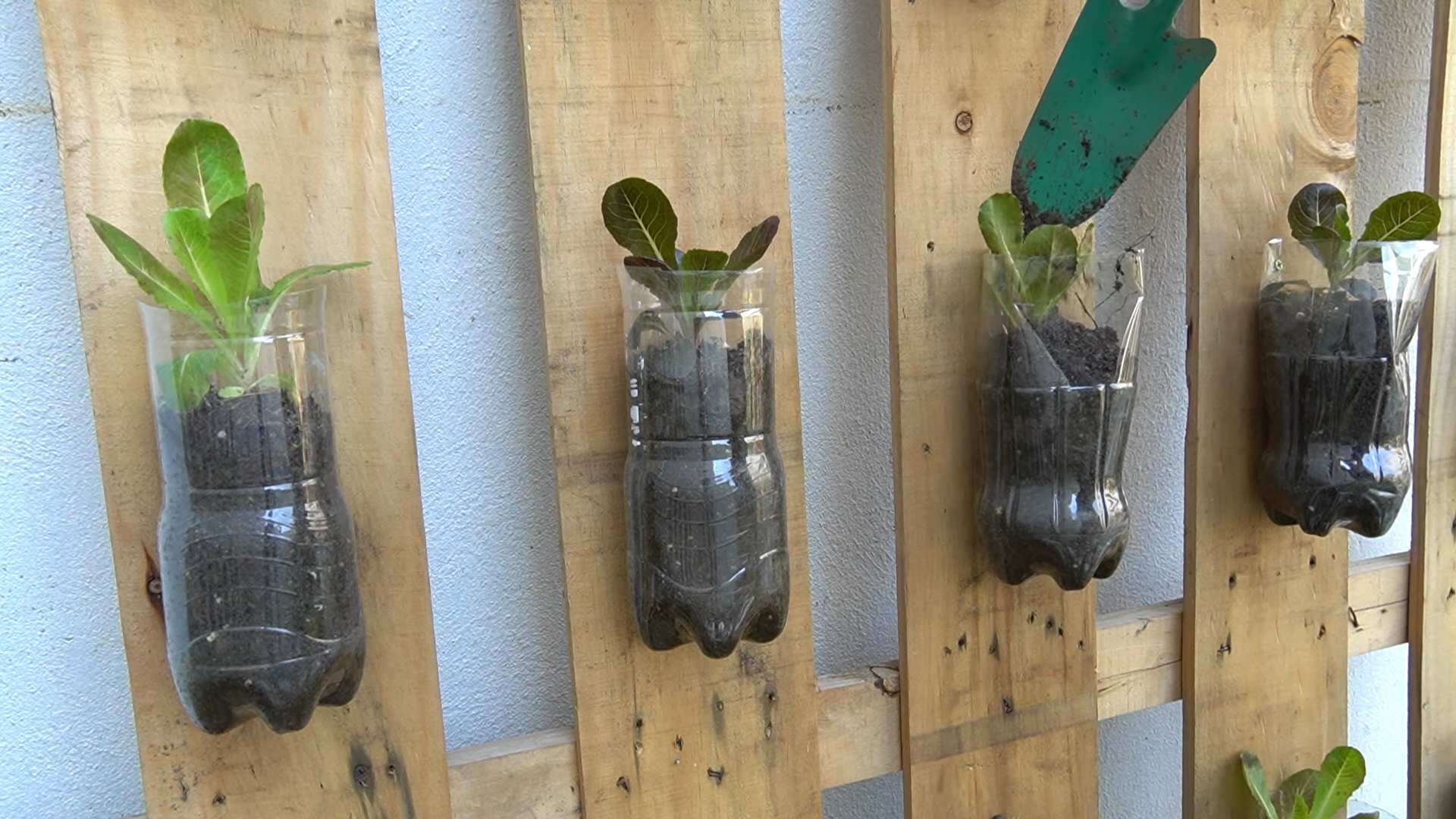 Plastic waste vegetable garden