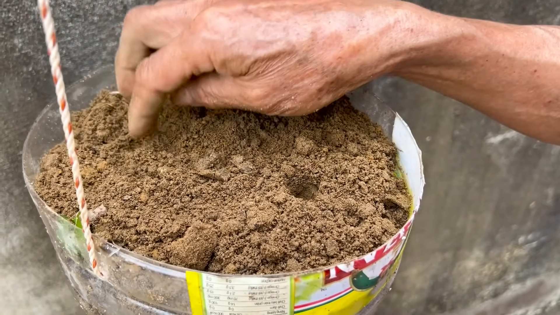 Growing Melons Small Spaces
