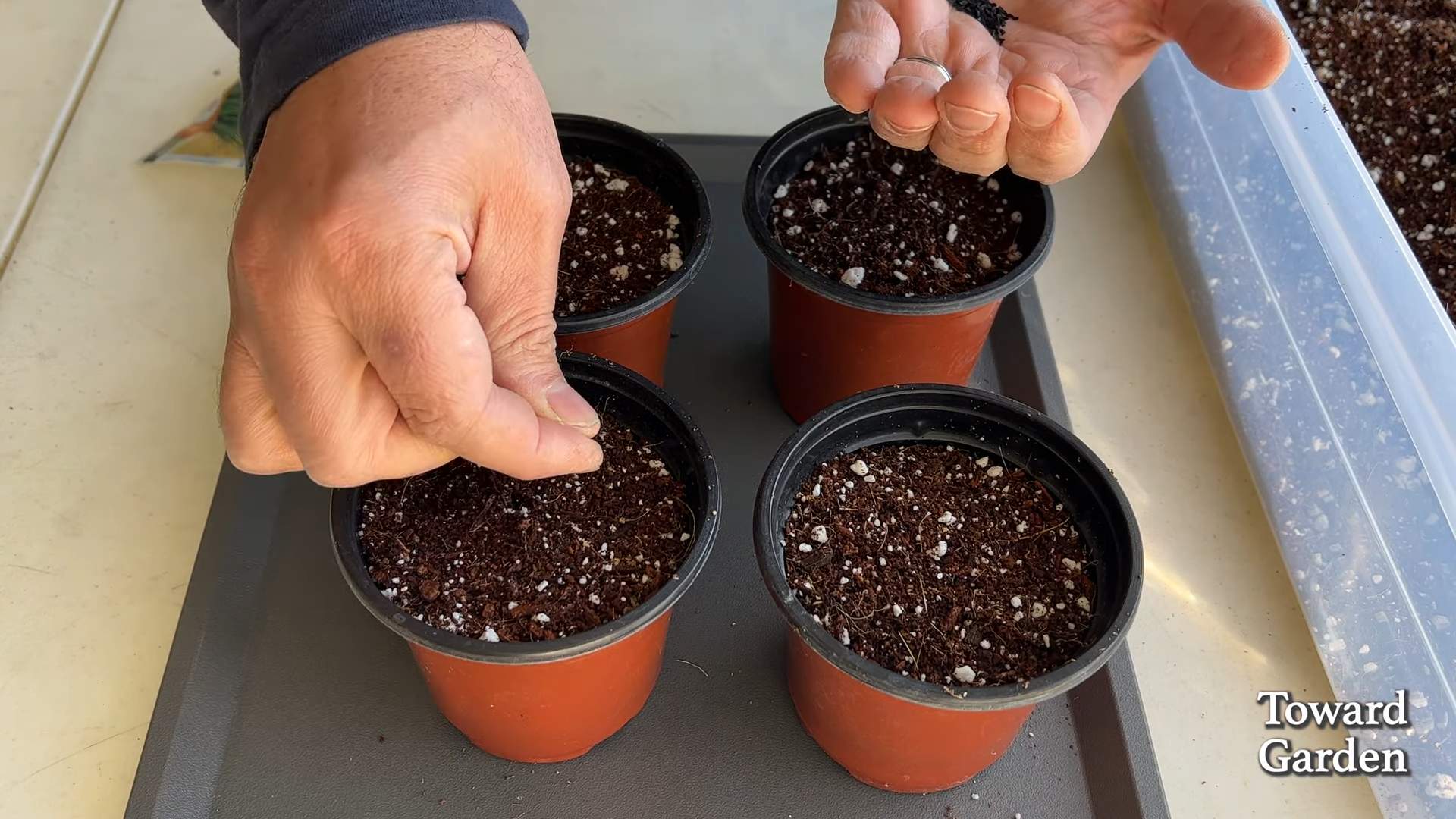 Grow Chives Kitchen